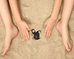 Delran Locksmith Service Delran, NJ 856-545-9493  Delran Locksmith Service Delran, NJ 856-545-9493